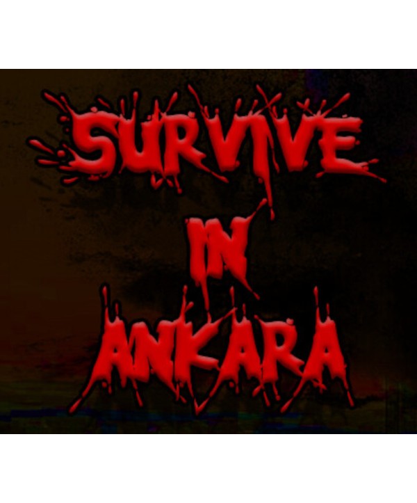 Survive in Ankara Steam Key GLOBAL